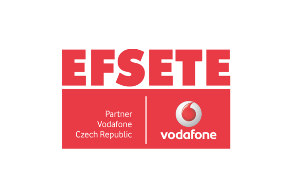 EFSETE - Efficiently selling team